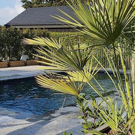 Pine Cottage- 5 Minutes Francorchamps - Charme -Piscine-Calme-Jardin Sart  Εξωτερικό φωτογραφία