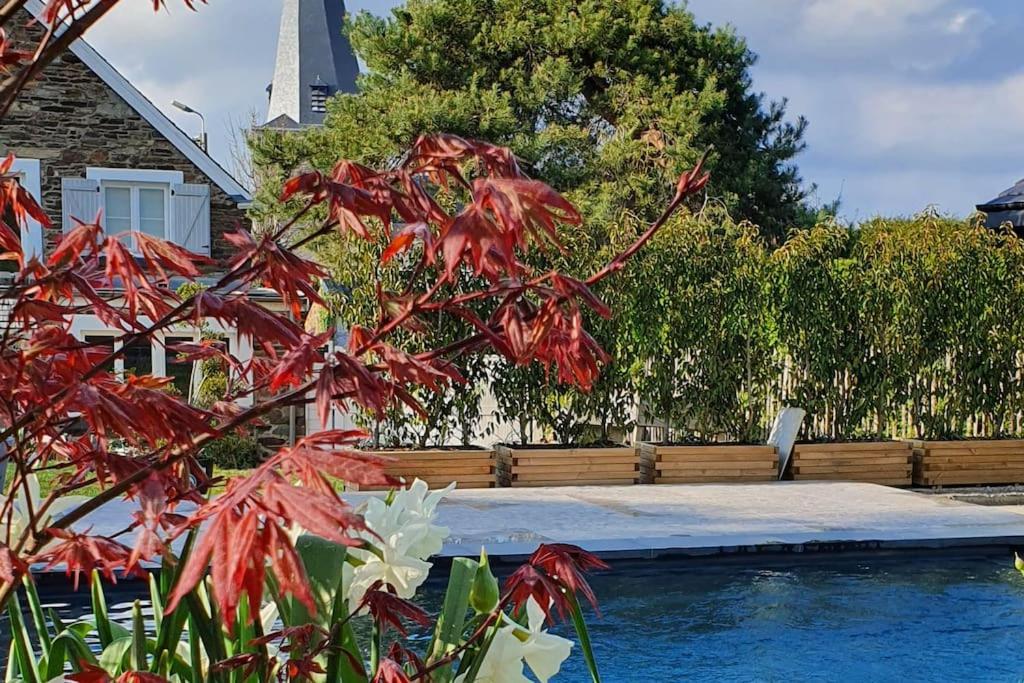 Pine Cottage- 5 Minutes Francorchamps - Charme -Piscine-Calme-Jardin Sart  Εξωτερικό φωτογραφία
