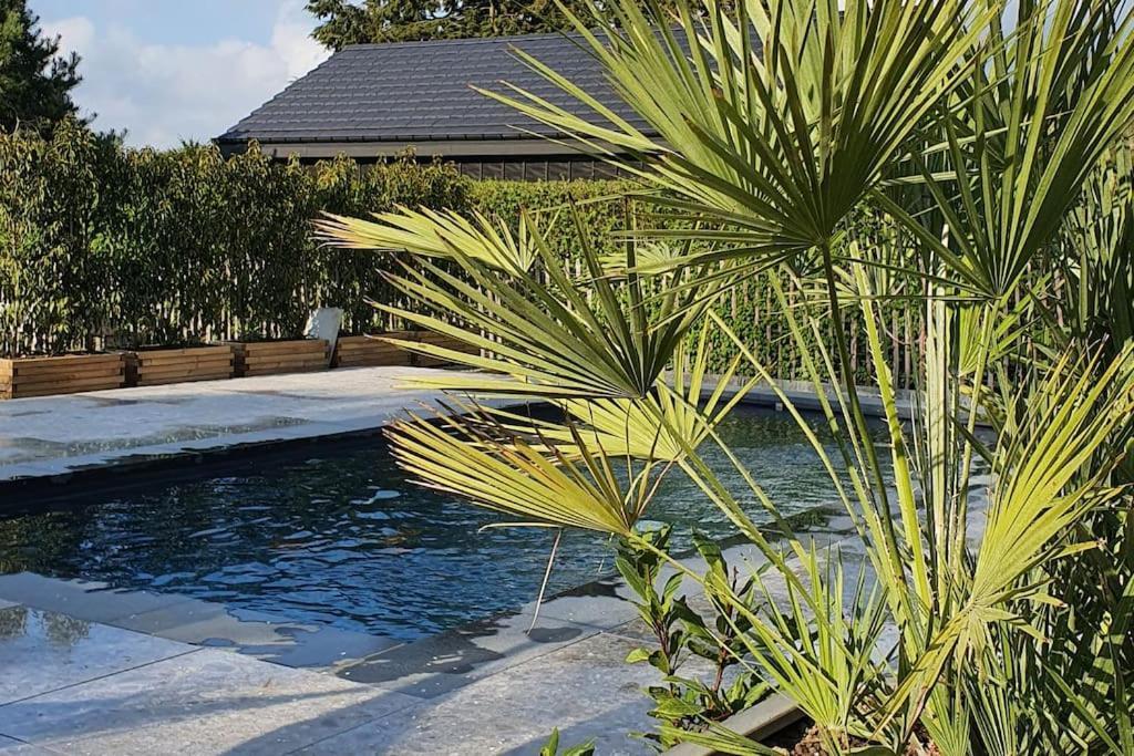 Pine Cottage- 5 Minutes Francorchamps - Charme -Piscine-Calme-Jardin Sart  Εξωτερικό φωτογραφία