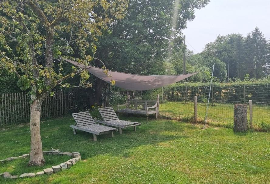 Pine Cottage- 5 Minutes Francorchamps - Charme -Piscine-Calme-Jardin Sart  Εξωτερικό φωτογραφία
